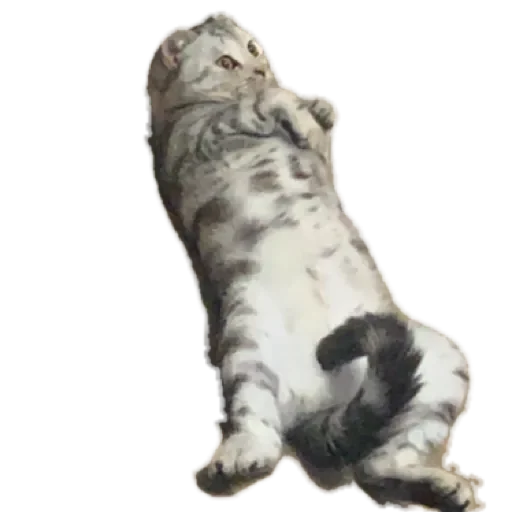 Sticker лучший в мире пак by @stqrapp - 0