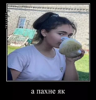 Sticker 7 люти клас - 9