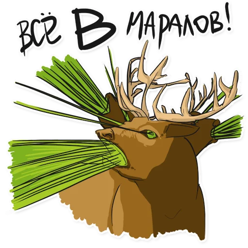 Sticker INGFIL015 - 1