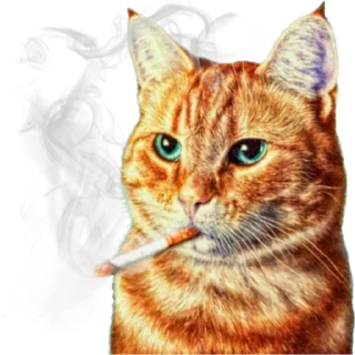 Sticker Incredible Touches - 5