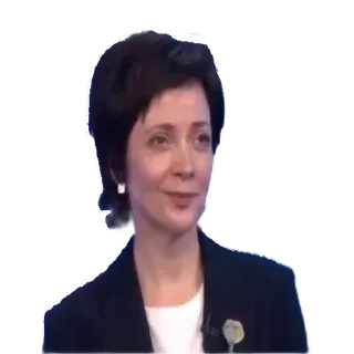 Стикер ИПУ - 5