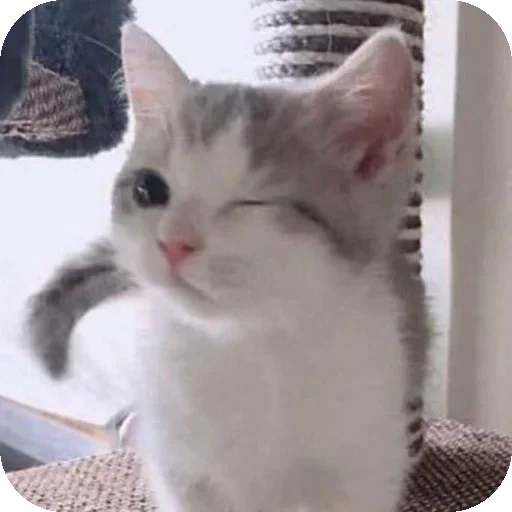 Sticker IPbXwRY_by_achestickbot - 1