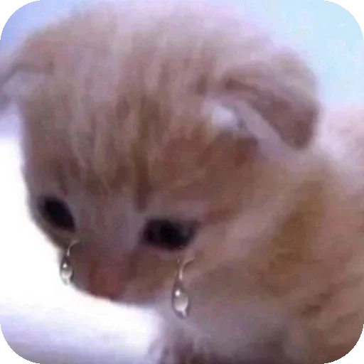 Sticker IPbXwRY_by_achestickbot - 1