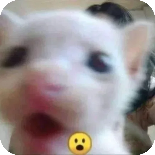 Sticker IPbXwRY_by_achestickbot - 1