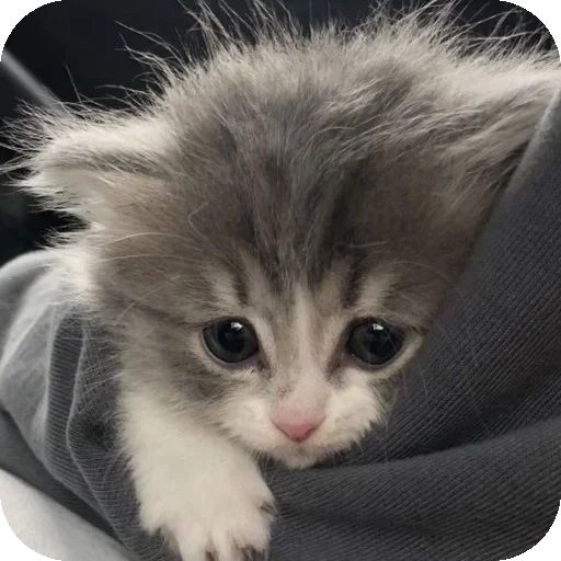 Sticker IPbXwRY_by_achestickbot - 1