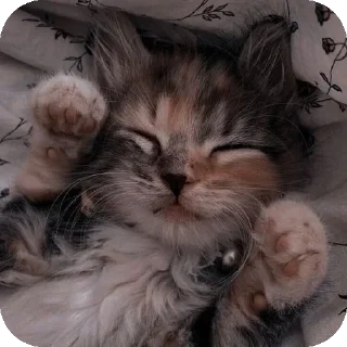 Sticker Больше стиков тут: @stikery4 - 8