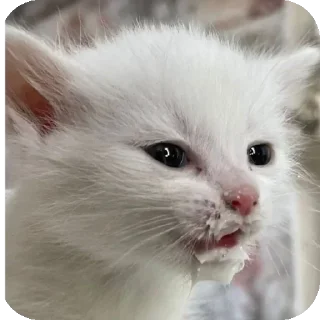 Sticker Больше стиков тут: @stikery4 - 9