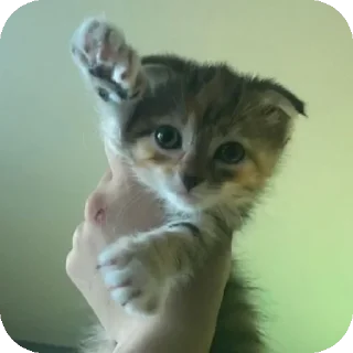 Sticker Больше стиков тут: @stikery4 - 6