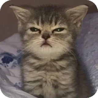 Sticker Больше стиков тут: @stikery4 - 1