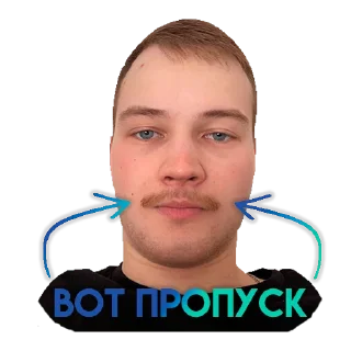 Sticker IQOS HM TEAM - 9