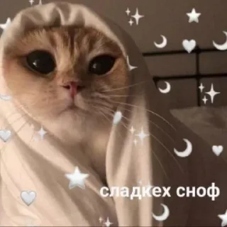 Sticker Больше стикеров 👉🏻 @stickertg4 - 2