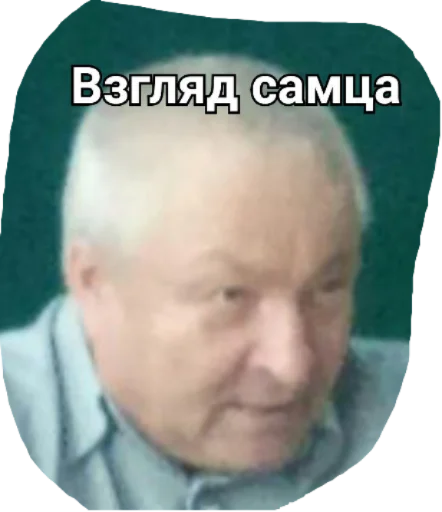 human face forehead skin