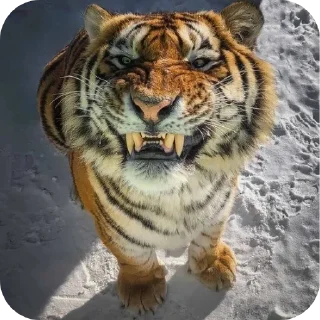 Стикер ЙухХеры - 2