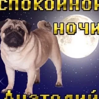 Стикер Я гей 2 возвращение @CHrvlb - 9