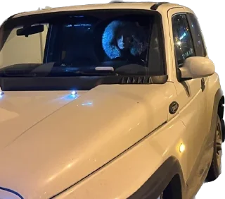 Sticker Ялерапак - 5