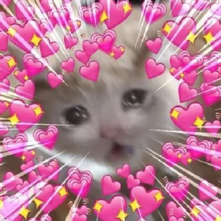 Sticker Ya lublu tedia zaika - 6