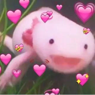 Sticker Ya lublu tedia zaika - 4