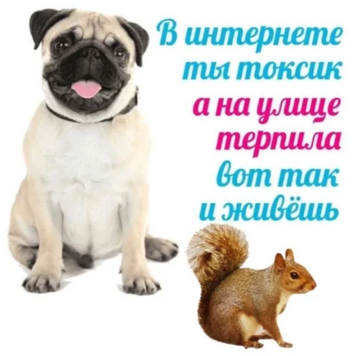 Sticker IamFurryFucker - 1