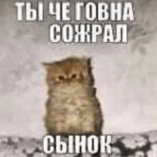 Пожрал говна - 