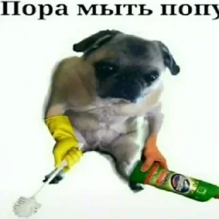 Стикер Пожрал говна - 11