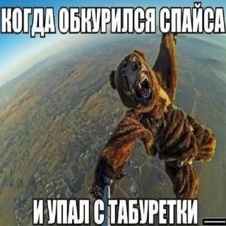 Стикер Пожрал говна - 7