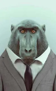 Стикер Больше стиков тут: @stikery4 - 8