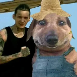 Стикер Больше стиков тут: @stikery4 - 6