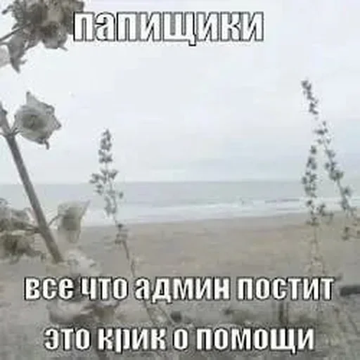 Sticker IbclkEhYGt_by_stickers_stealer_bot - 1