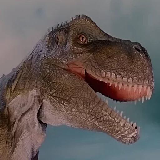 animal mammal reptile