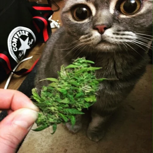 Стикер Iceua курилка - 1