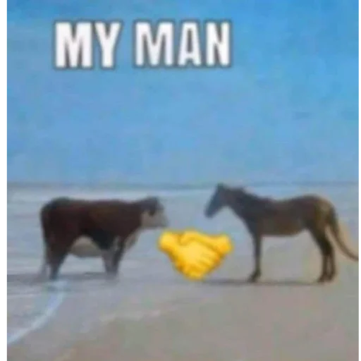 Стикер Icgak - 1