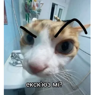 Sticker Їжак - 6