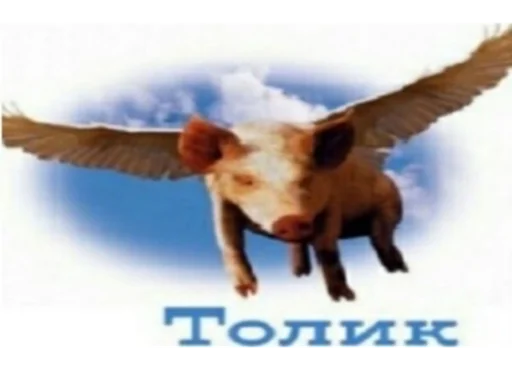 Стикер IconShitPicPostSrickersMemes - 1