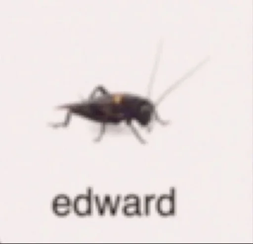 Sticker IconShitPicPostSrickersMemes - 1