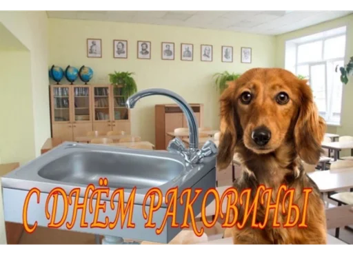 Sticker IconShitPicPostSrickersMemes - 1