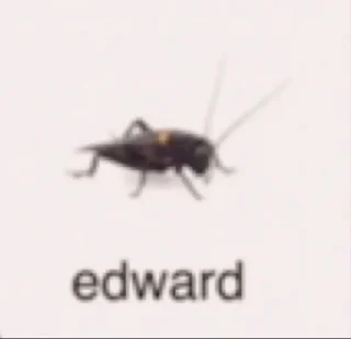 Стикер Shit Stickers - 11