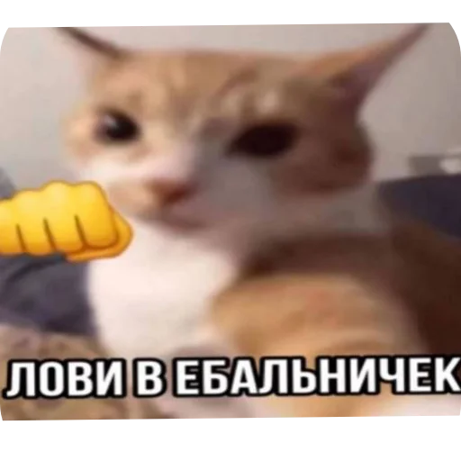 Sticker IdiNahuj8593 - 1