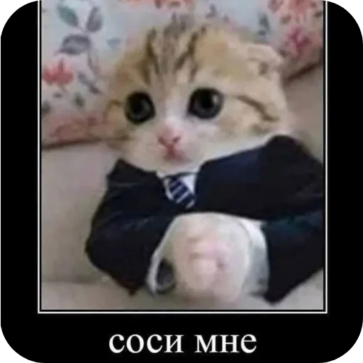 Sticker IdiNahuj8593 - 1