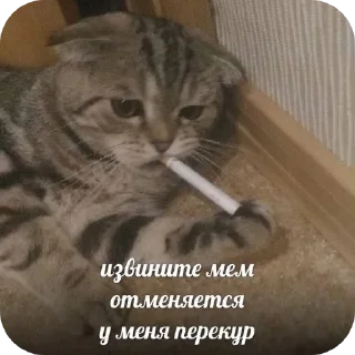 Sticker иди нахуй🤩 - 6