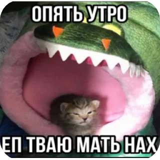 Sticker иди нахуй🤩 - 2