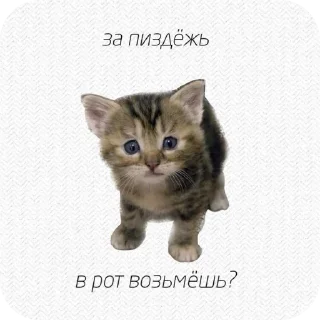 Sticker иди нахуй🤩 - 3