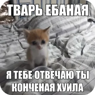 Sticker иди нахуй🤩 - 5