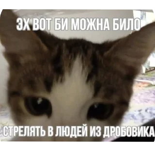 Sticker иди нахуй🤩 - 8