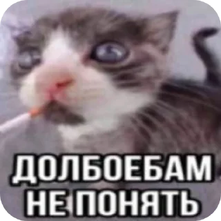 Sticker иди нахуй🤩 - 7