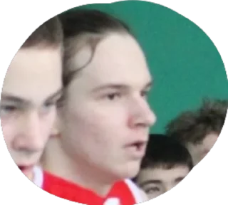 Sticker Домооой - 7