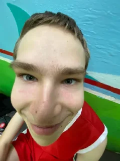 Sticker Домооой - 0