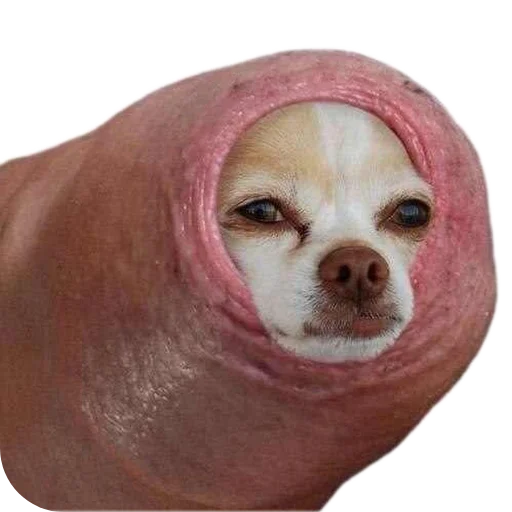 Стикер Idiotizm11 - 1