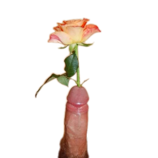 Стикер Idiotizm11 - 1