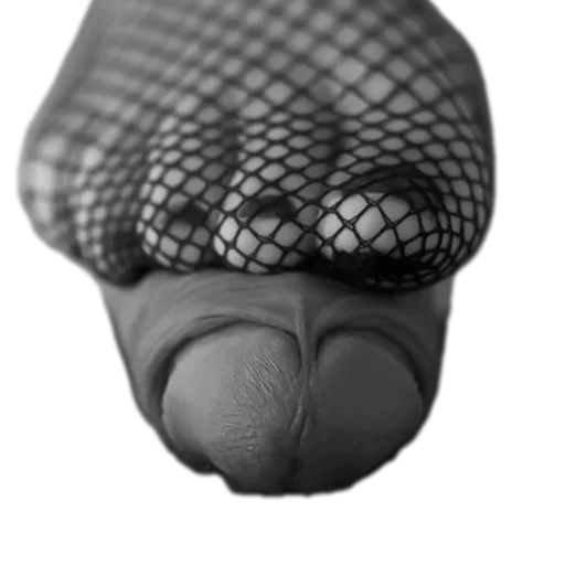 Стикер Idiotizm11 - 1