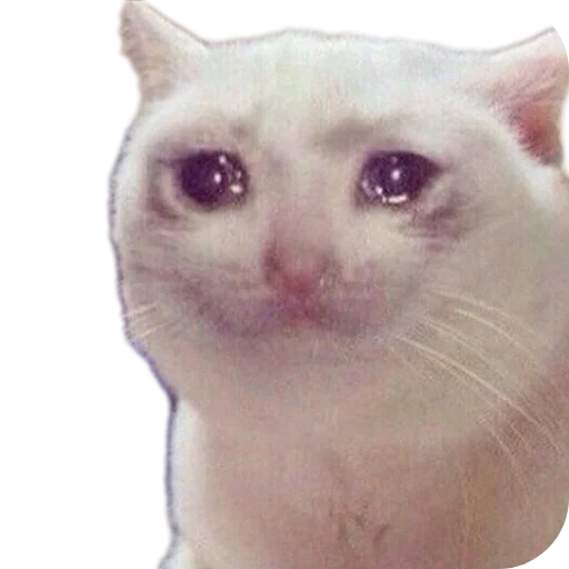 Стикер Idiotizm11 - 1